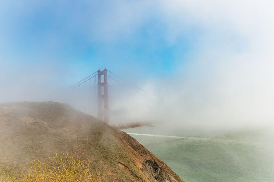 San Francisco: Muir Woods and Sausalito Small-Group Tour - The grove walk: what you should focus on