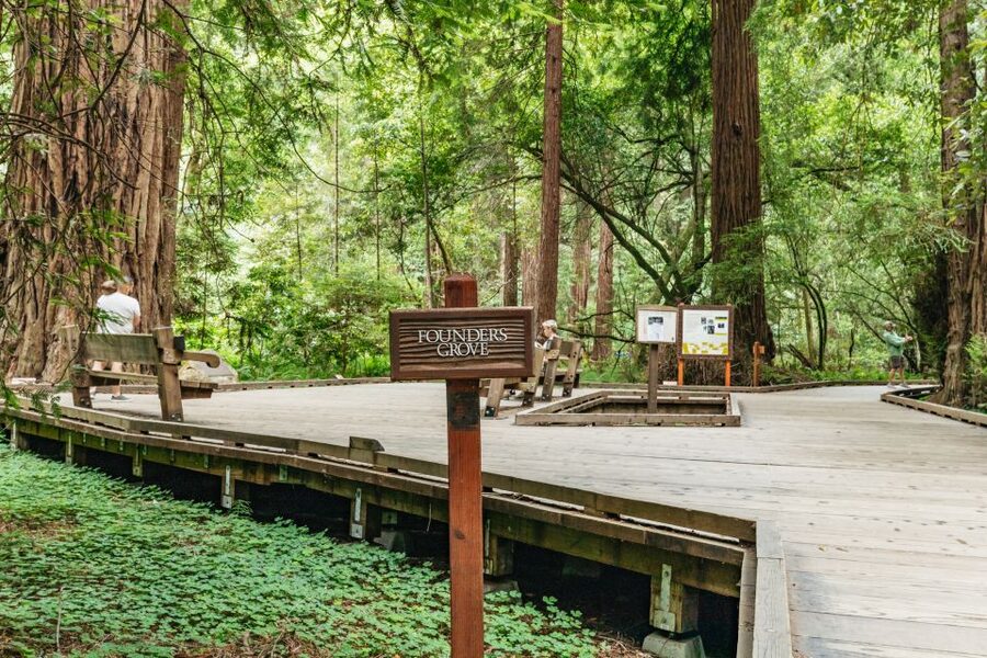 San Francisco: Muir Woods and Sausalito Small-Group Tour - Who this tour is best for