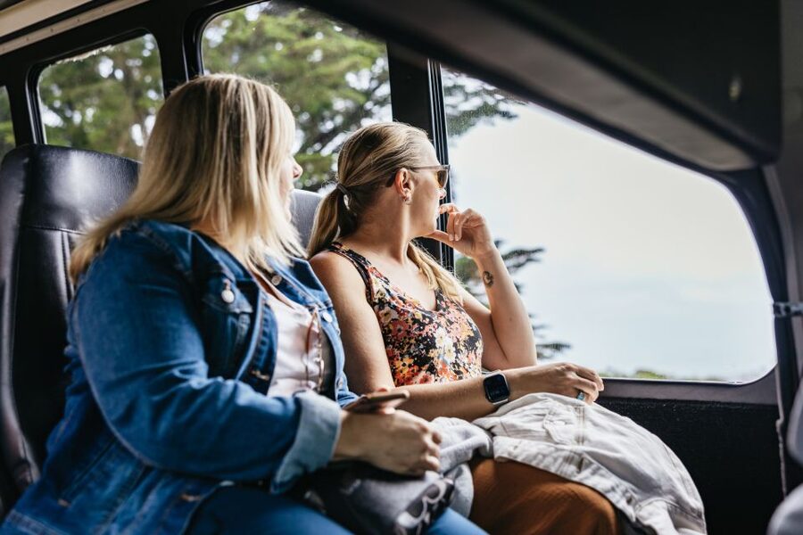 San Francisco: Muir Woods, Napa & Sonoma Valley Wine Tour - The guided drive between stops, where you learn what you are tasting