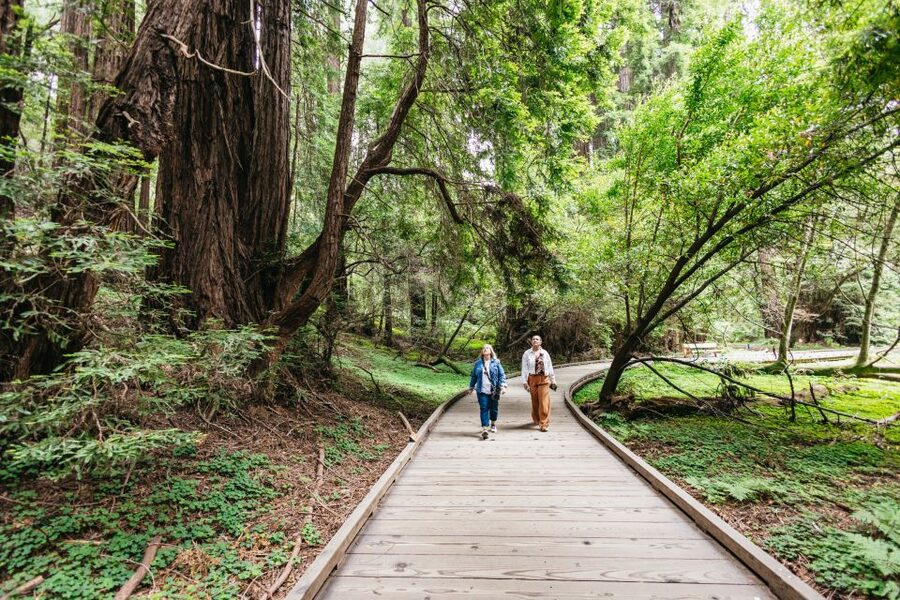 San Francisco: Muir Woods, Napa & Sonoma Valley Wine Tour - Price and value: what $166 really buys you