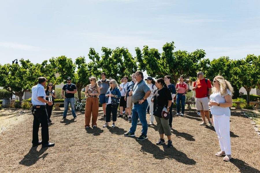 San Francisco: Muir Woods, Napa & Sonoma Valley Wine Tour - Muir Woods National Monument: one-hour head-turning redwood time