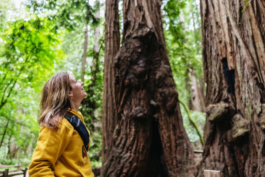 San Francisco: Muir Woods & Sausalito Tour with Ferry Option - Key highlights I’d plan around