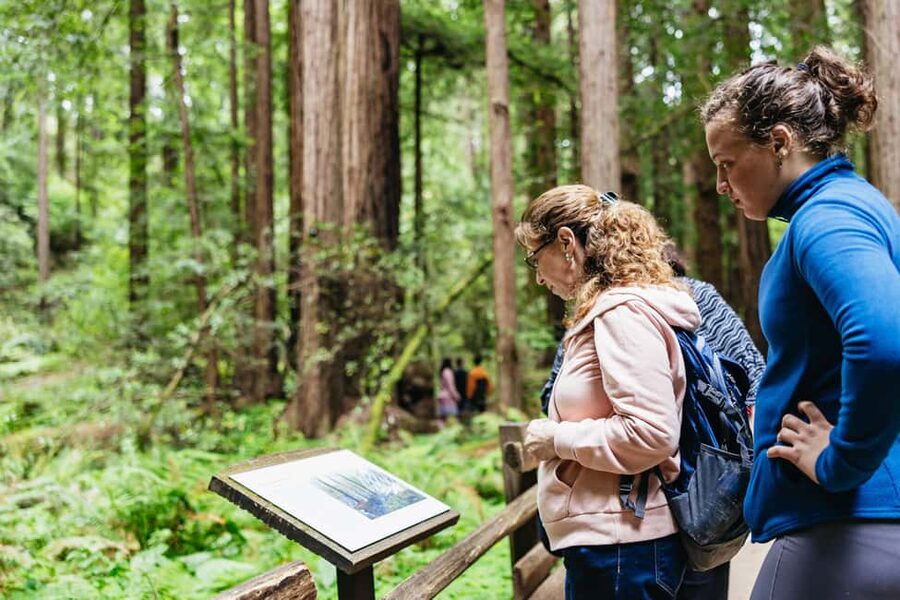 San Francisco: Muir Woods & Sausalito Tour with Ferry Option - Muir Woods, Sausalito, and the ferry option in one half-day