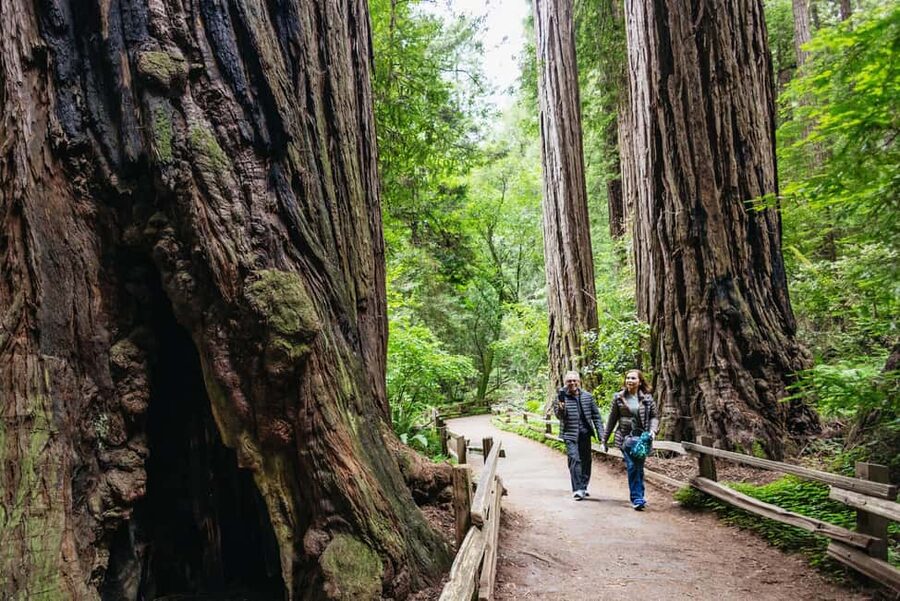 San Francisco: Muir Woods & Sausalito Tour with Ferry Option - Golden Gate Bridge photo stop: the quick taste that can still pay off