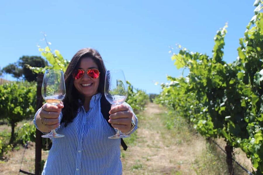 San Francisco: Napa and Sonoma Valley Wine Tour - How the Coach Day Is Structured, and Why the Timing Works