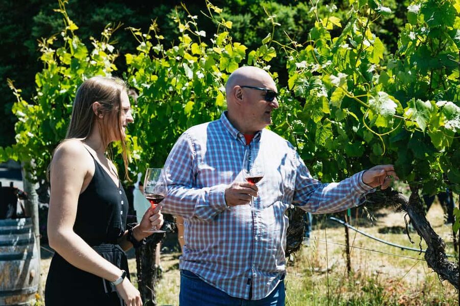 San Francisco: Napa and Sonoma Valley Wine Tour - The Winemaking Stories You’ll Hear, and Why They Matter