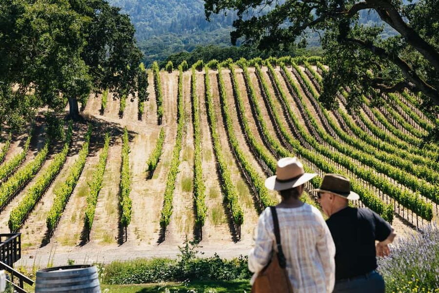 San Francisco: Napa and Sonoma Valley Wine Tour - The Golden Gate Bridge Stop That Actually Makes Sense