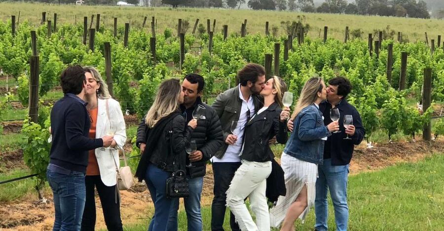 San Francisco: Napa Valley Half-Day Wine Tour with Tastings - Key takeaways before you go