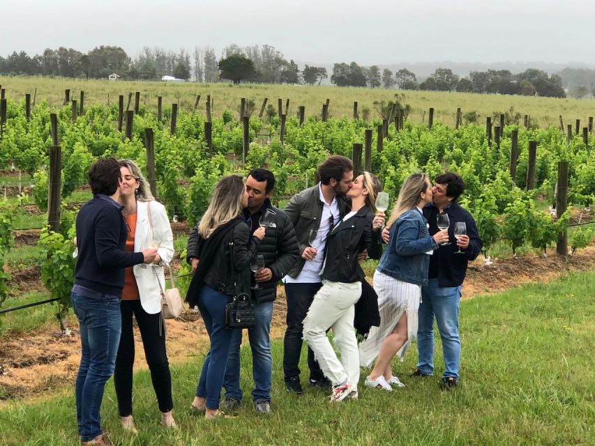 San Francisco: Napa Valley Half-Day Wine Tour with Tastings - Golden Gate to Napa, with Sausalito views and a timed photo stop