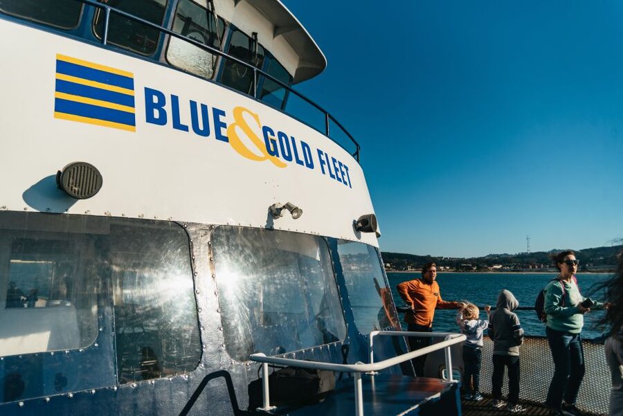 San Francisco: Skip-the-Line 1-Hour Bay Cruise by Boat - Key points to know before you go