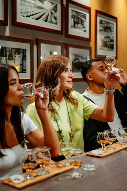 San Juan: Casa Bacardi Distillery Tour - How the tour flows: welcome drink, trolley ride, and key stops