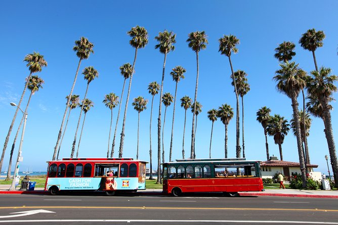 Santa Barbara Trolley Tour - Santa Barbara Museum of Natural History: a whale skeleton and changing exhibits