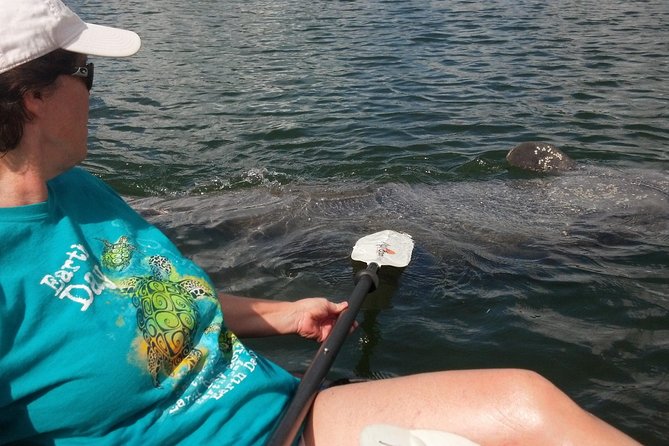 Sarasota Guided Mangrove Tunnel Kayak Tour - Key Points That Matter Before You Go