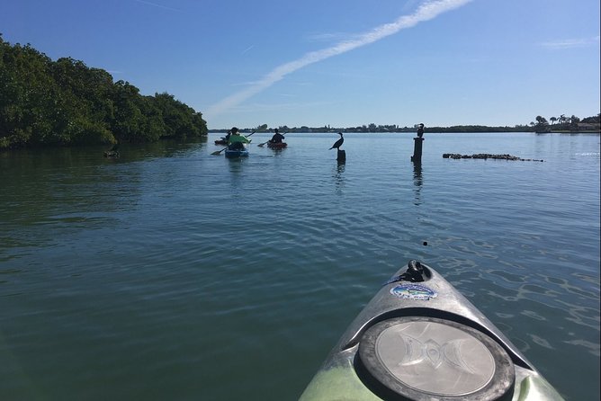 Sarasota Guided Mangrove Tunnel Kayak Tour - From Taft Dr to Little Sarasota Bay: How the Tour Works
