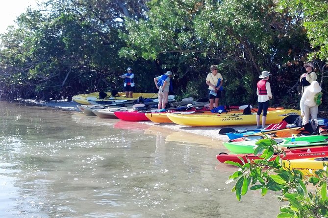 Sarasota Guided Mangrove Tunnel Kayak Tour - The Route: Little Sarasota Bay to South Lido Mangrove Tunnels