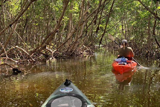 Sarasota Guided Mangrove Tunnel Kayak Tour - Who This Tour Fits Best (And Who Might Want Another Plan)