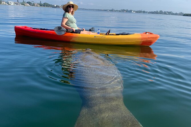 Sarasota Mangrove Tunnel Guided Kayak Adventure - Key highlights to know before you go
