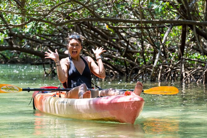 Sarasota Mangrove Tunnel Guided Kayak Adventure - Where your Sarasota mangrove kayak starts at Ted Sperling Nature Park