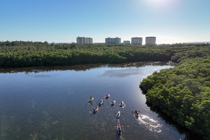 Sarasota Mangrove Tunnel Guided Kayak Adventure - Wildlife spotting on Sarasota Bay, from manatees to eagles