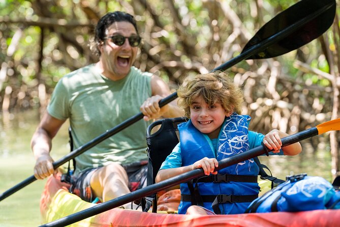 Sarasota Mangrove Tunnel Guided Kayak Adventure - How the guides teach paddling and make wildlife watching easier
