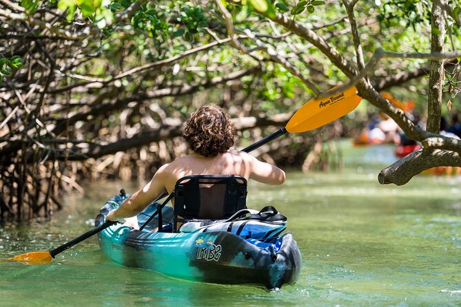 Sarasota Mangrove Tunnel Guided Kayak Adventure - Price and value: is $65 per person worth it?