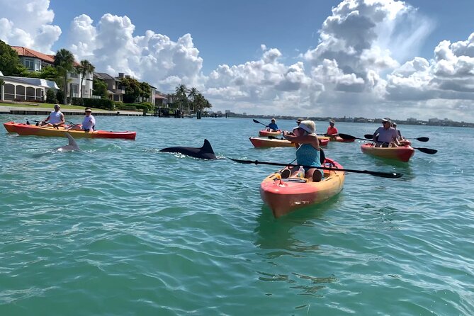 Sarasota Mangrove Tunnel Guided Kayak Adventure - Who this Sarasota mangrove kayak tour suits best