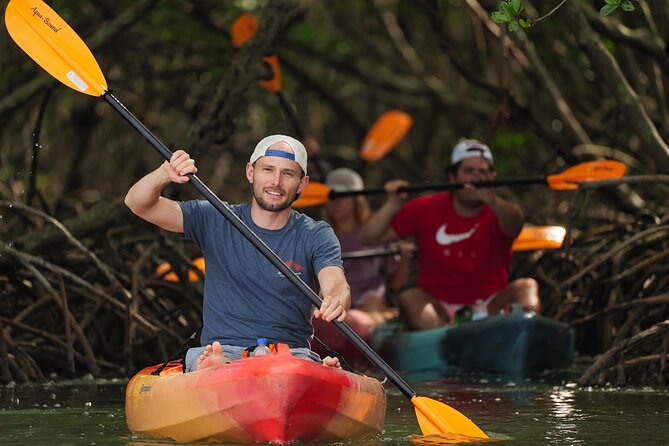 Sarasota Mangrove Tunnel Guided Kayak Adventure - The 2-hour flow: paddle lesson, open-water search, mangrove tunnels