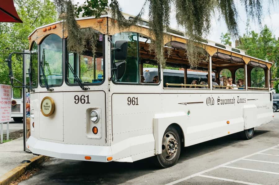 Savannah: Old Savannah Tours Historic Overview - The Cobblestone Streets and Mossy Oak Drive