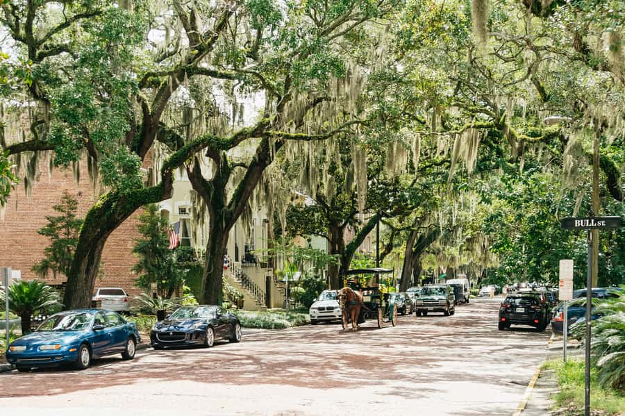 Savannah: Old Savannah Tours Historic Overview - Price and Value: Is $35 a Smart Use of Time?