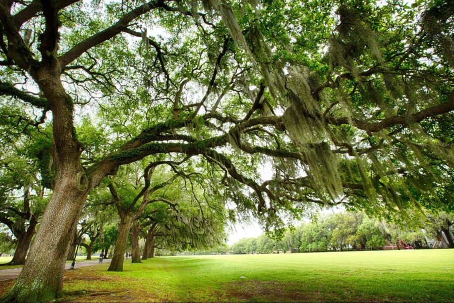 Savannah: Riverboat Cruise & City Tour Combo - Downriver on the Savannah Riverboat: Port Life and Old Fort Jackson