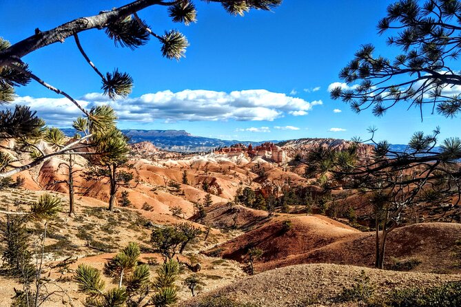 Scenic Tour of Bryce Canyon - Key takeaways before you go