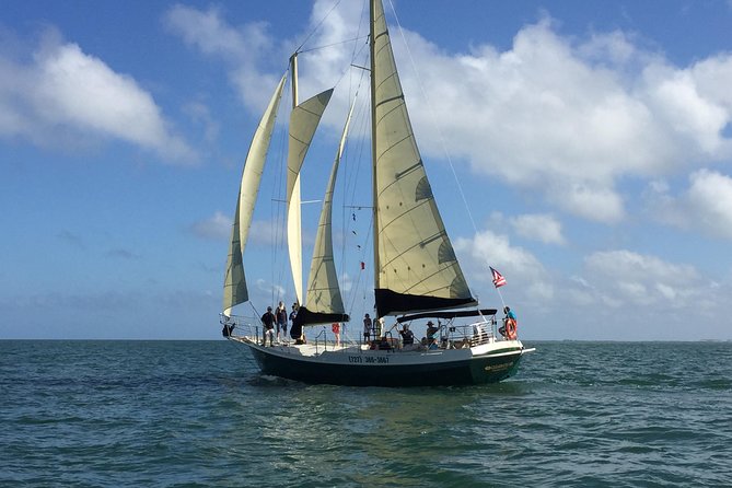 Schooner Clearwater- Sailing Cruise-Clearwater Beach - The First Steps at 25 Causeway Blvd: Check-In Timing That Actually Works