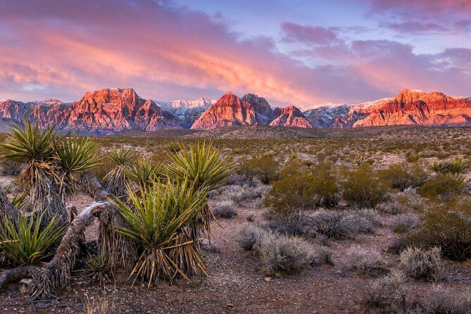Scooter Tours of Red Rock Canyon - Key reasons this tour works so well