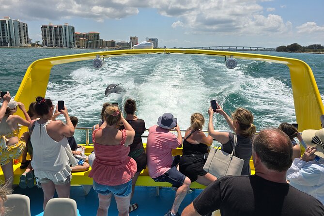 Sea Screamer Clearwater's Only Speed Boat Dolphin Watching - Value for $37: Why This Feels Like a Smart Deal