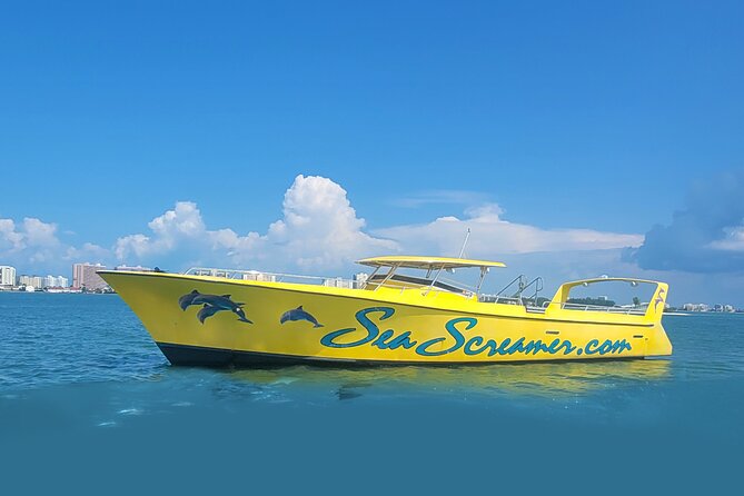 Sea Screamer Clearwater's Only Speed Boat Dolphin Watching - The Boat Experience: Stable Speed on a 73 ft Deep-V