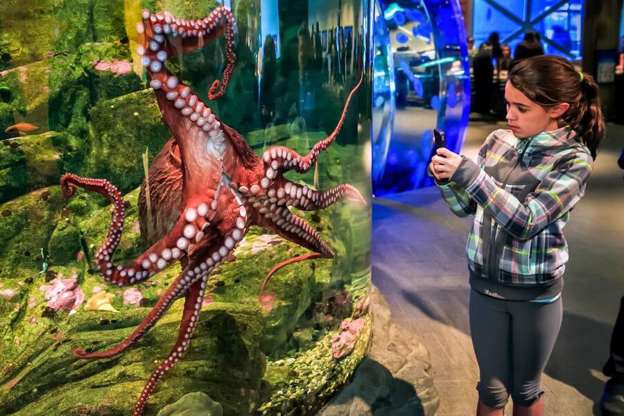 Seattle CityPASS®: Save up to 46% at 5 Top Attractions - Using mobile tickets and reservations without stress
