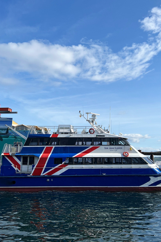 Seattle: Half-Day Wildlife and Whale Watching Cruise - Key takeaways before you go whale hunting from Pier 69