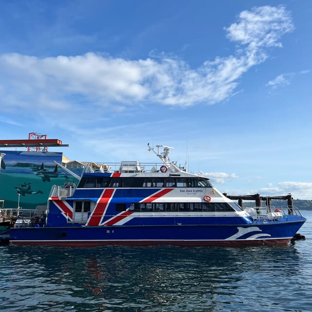 Seattle: Half-Day Wildlife and Whale Watching Cruise - Windows, seats, and the real comfort of a 3 to 5-hour cruise