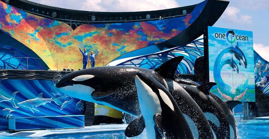 SeaWorld Orlando: Park Admission Ticket - Ticket Value: What an $87 SeaWorld Orlando Day Actually Covers