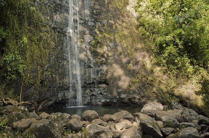 Self guided Hike Trail to Nature Walk & Waterfall - The Value Play: $79 for three hours of real Oahu nature