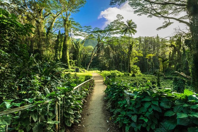 Self guided Hike Trail to Nature Walk & Waterfall - Stop 1, Manoa Falls Trail: your rainforest climb and what’s included