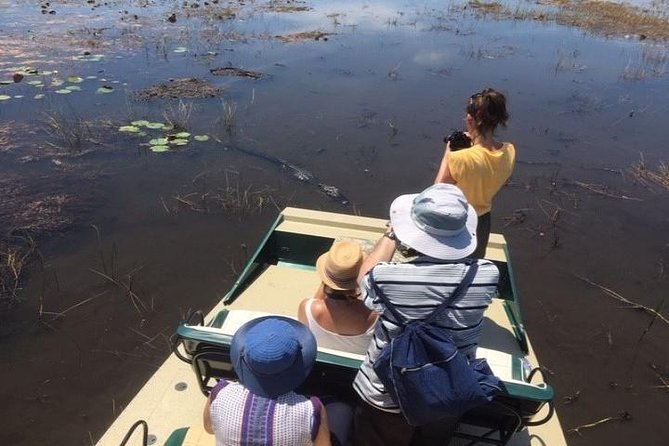 Semi-Private 1-Hour Airboat Tour of Miami Everglades - What you actually do during the Miami Everglades stop