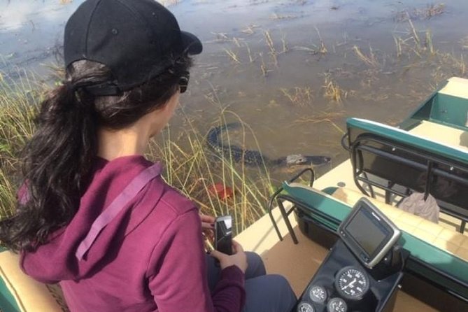 Semi-Private 1-Hour Airboat Tour of Miami Everglades - Wildlife odds and what you can do to improve your chances