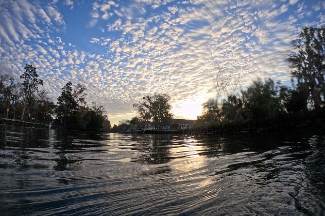 Semi Private Manatee Swim Tour - Value and Price: Is $89 Worth It?
