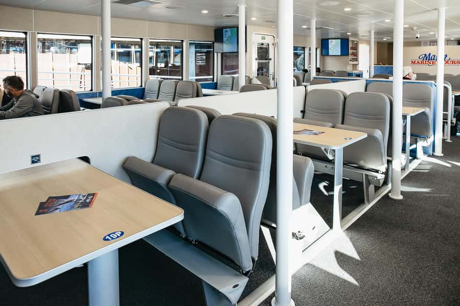 Seward: Kenai Fjords National Park Catamaran Cruise w/Lunch - Captains, Crew, and Why Narration Can Make or Break the Day