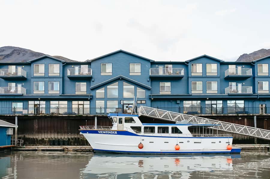 Seward: Kenai Fjords National Park Catamaran Cruise w/Lunch - Price and Value: Is $265 Worth It for Kenai Fjords?
