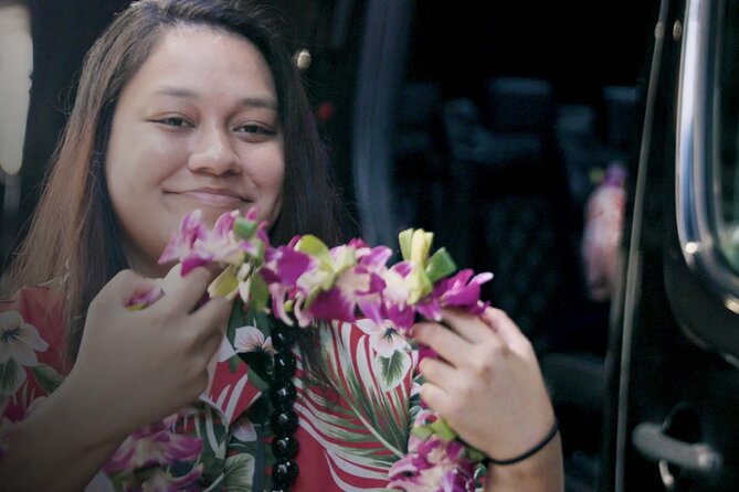 Shared Round-Trip Transfer: Honolulu Airport to Hotel or Cruise Terminal - Enter Honolulu Intl without the taxi headache