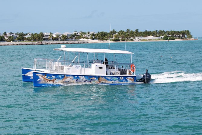 Shark and Wildlife Viewing Adventure in Key West - Harbor Cruise and Wildlife Refuge: How the Trip Starts