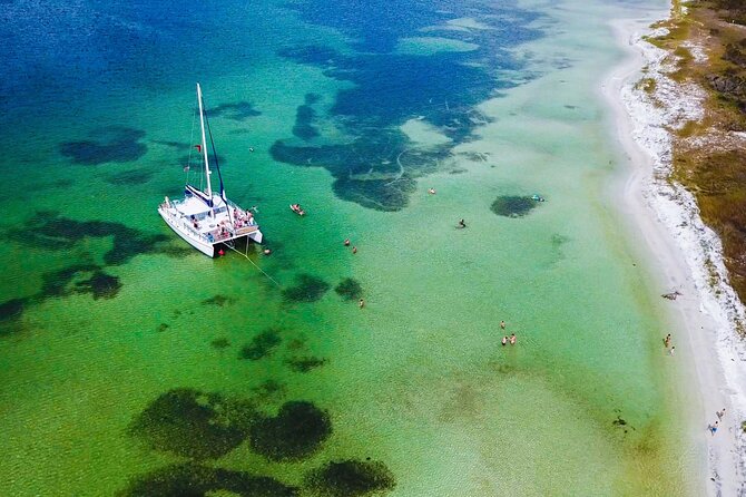 Shell Island Snorkel and Dolphin Catamaran Cruise with Island Time - Key highlights you should know before you go