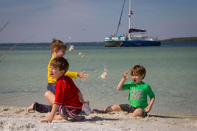 Shell Island Snorkel and Dolphin Catamaran Cruise with Island Time - Dolphins on a schedule? Not really, but you can still improve your odds